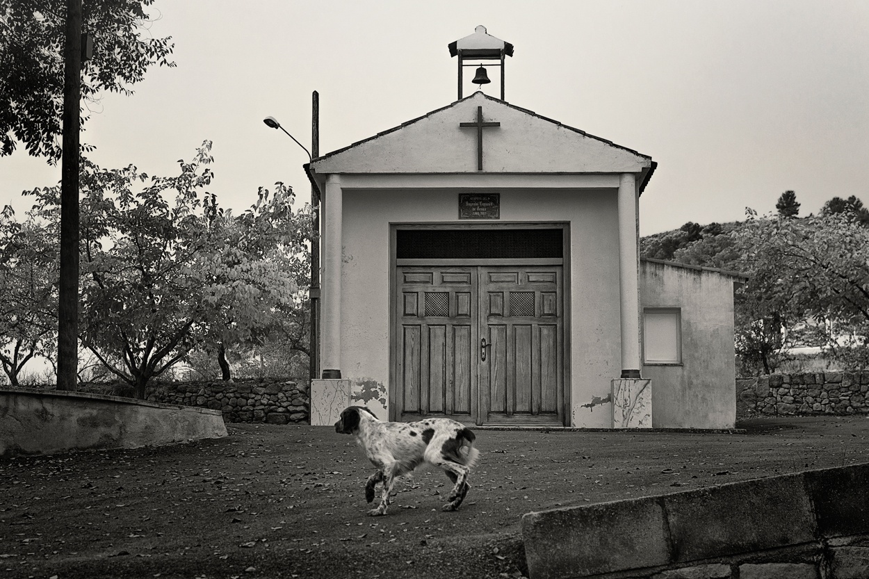 "Ermita con perro" de Francisco Jos Cerd Ortiz