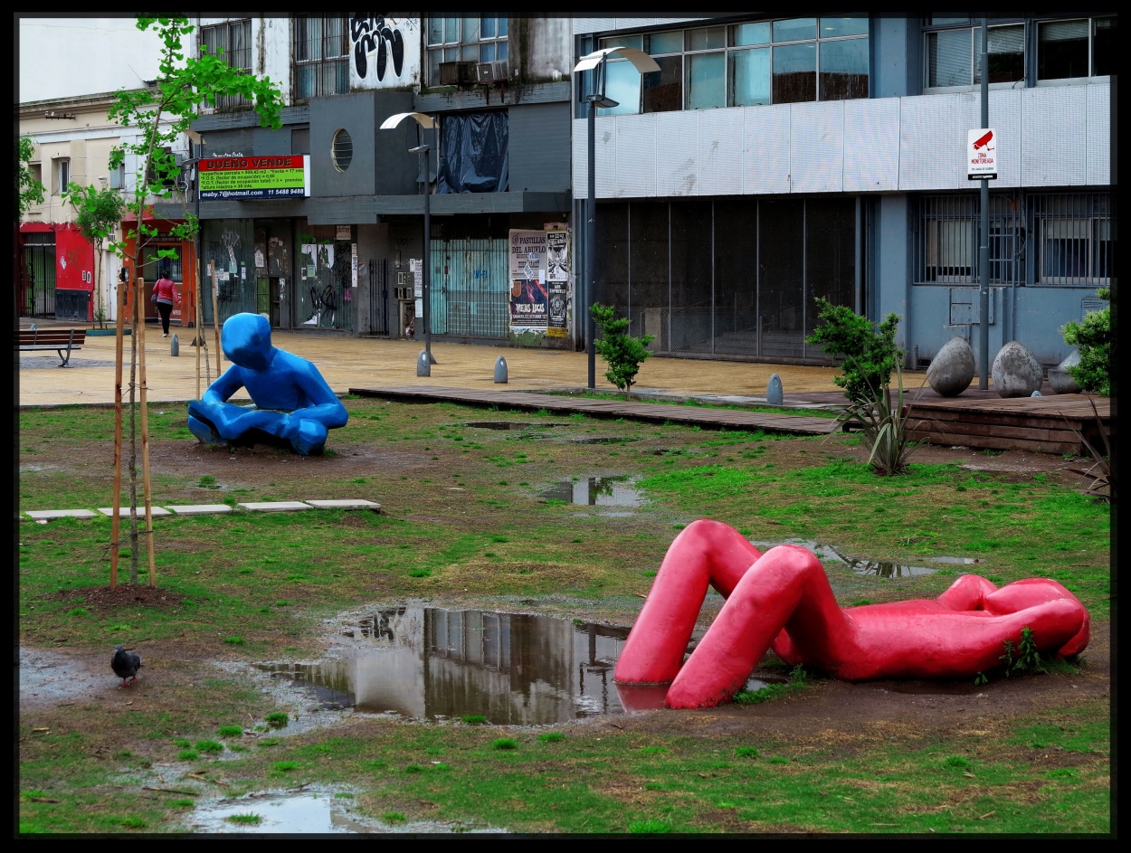 "Despues de la lluvia" de Jorge Vicente Molinari