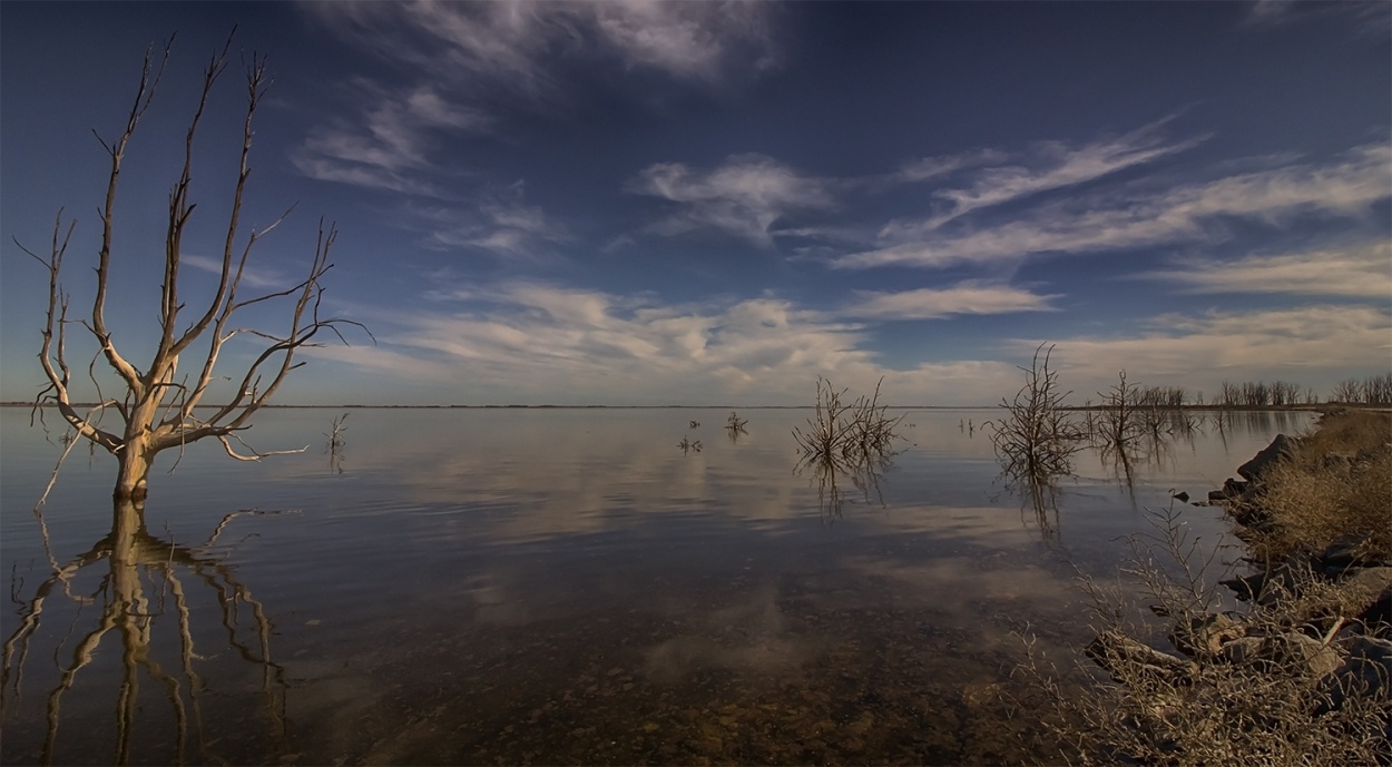 "Reflejos" de Edith Polverini