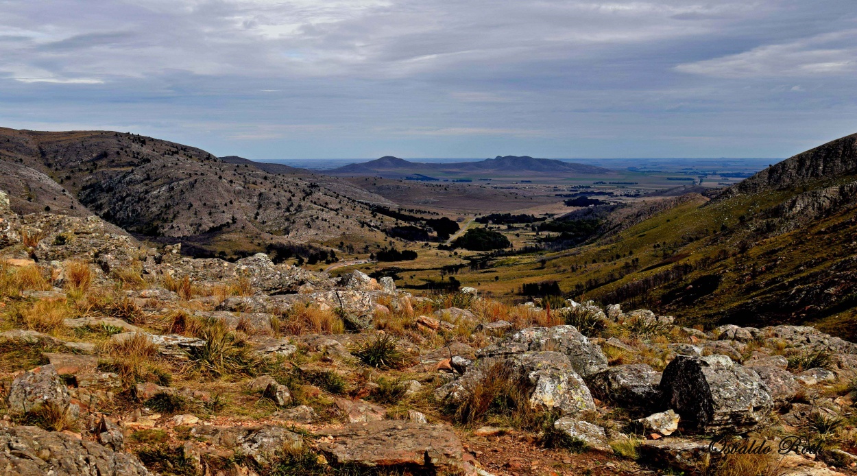 "Desde el Cerro" de Osvaldo Roth