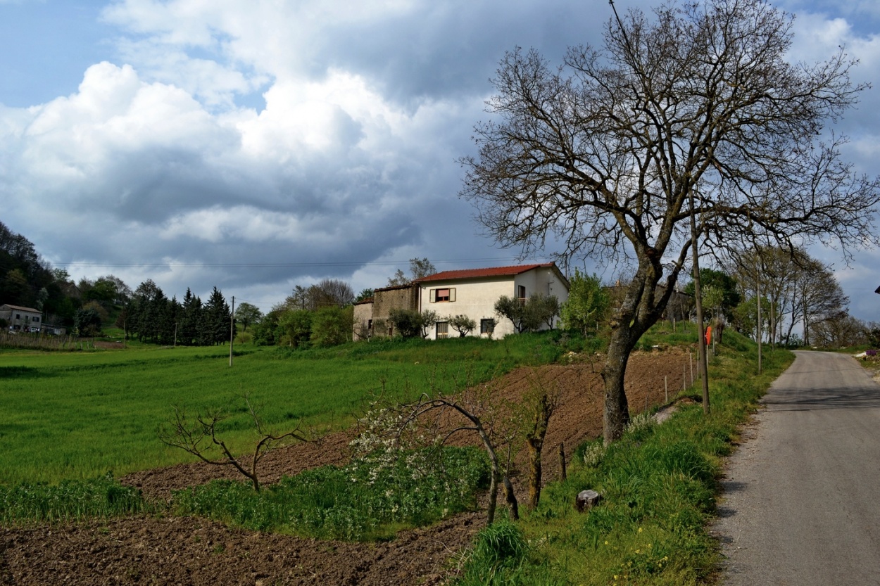 "La casa de la ta" de Carlos D. Cristina Miguel