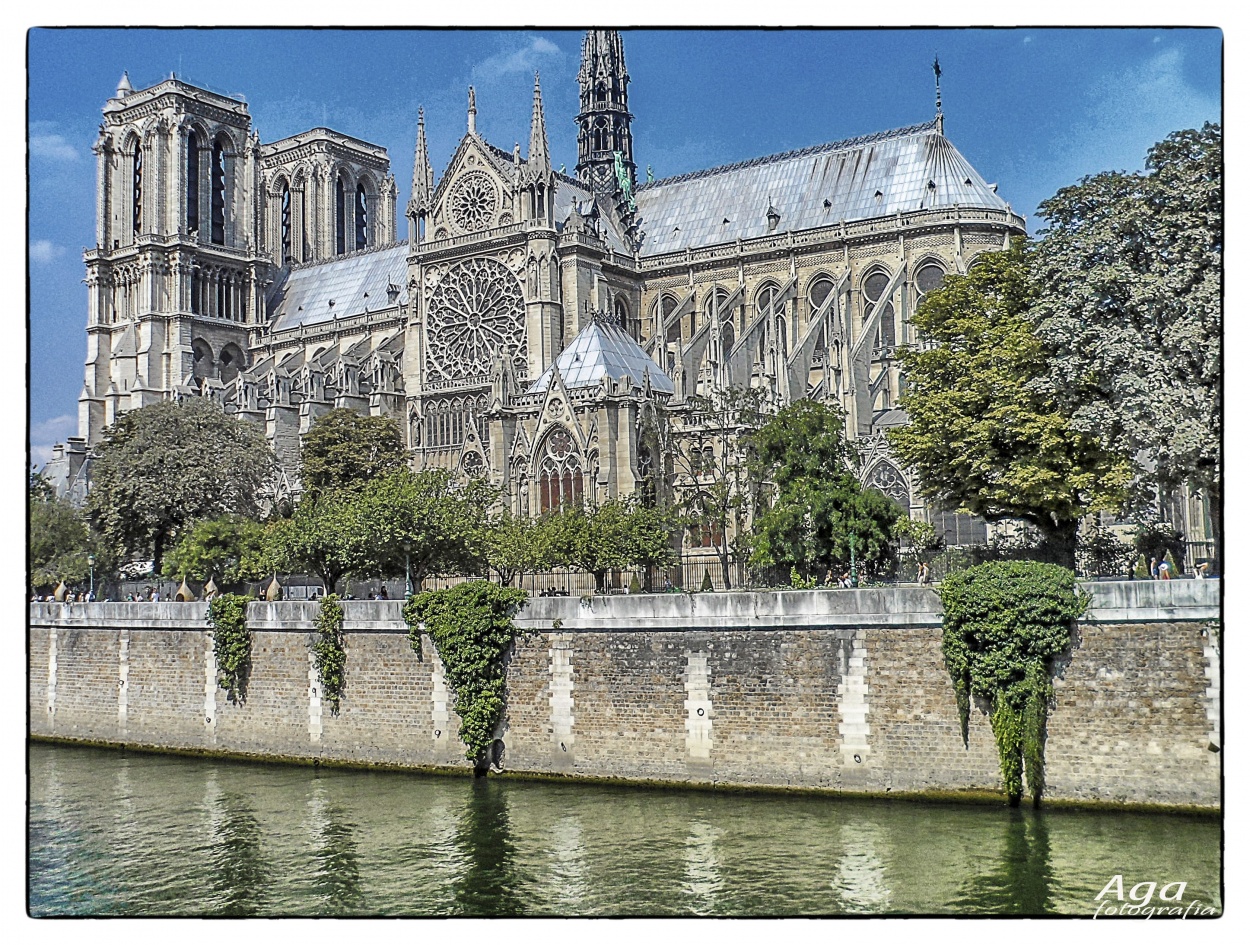 "Paris-Notre Dame" de Adriana Claudia Gallardo