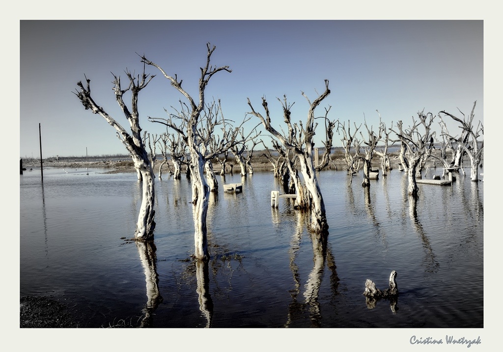 "Epecuen again...." de Cristina Wnetrzak