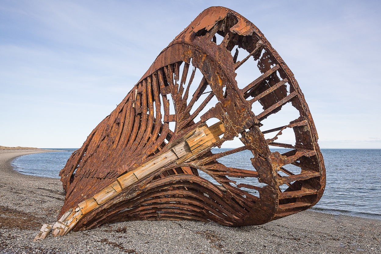 "El casco" de Carlos Gianoli