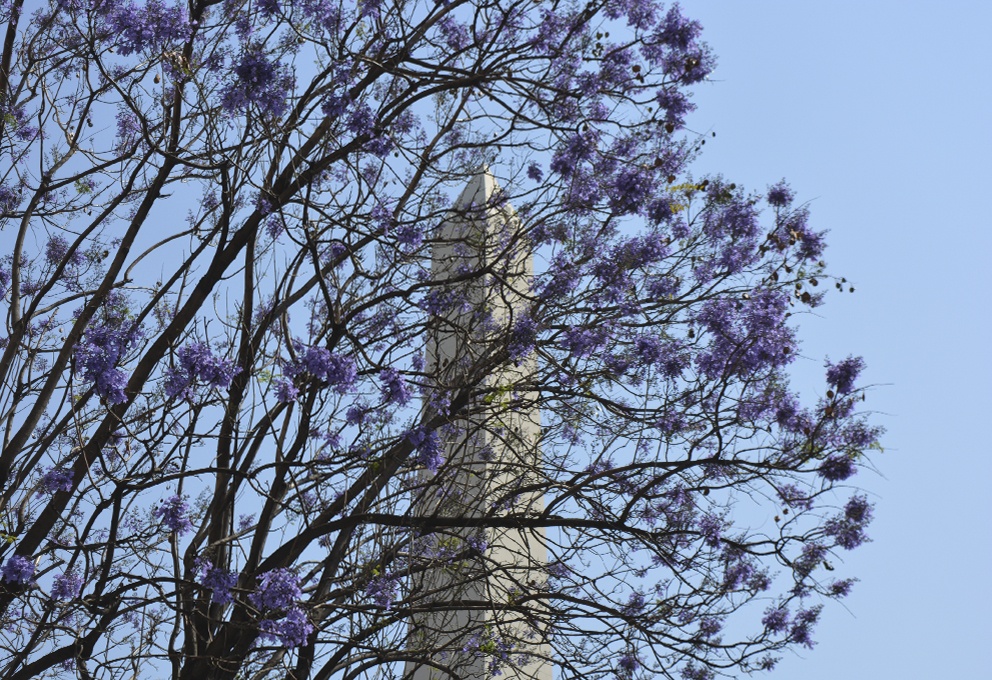 "obelisco" de Horacio Barbieri