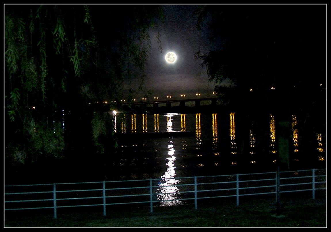 "Noche de Luna llena !!" de Alberto Matteo