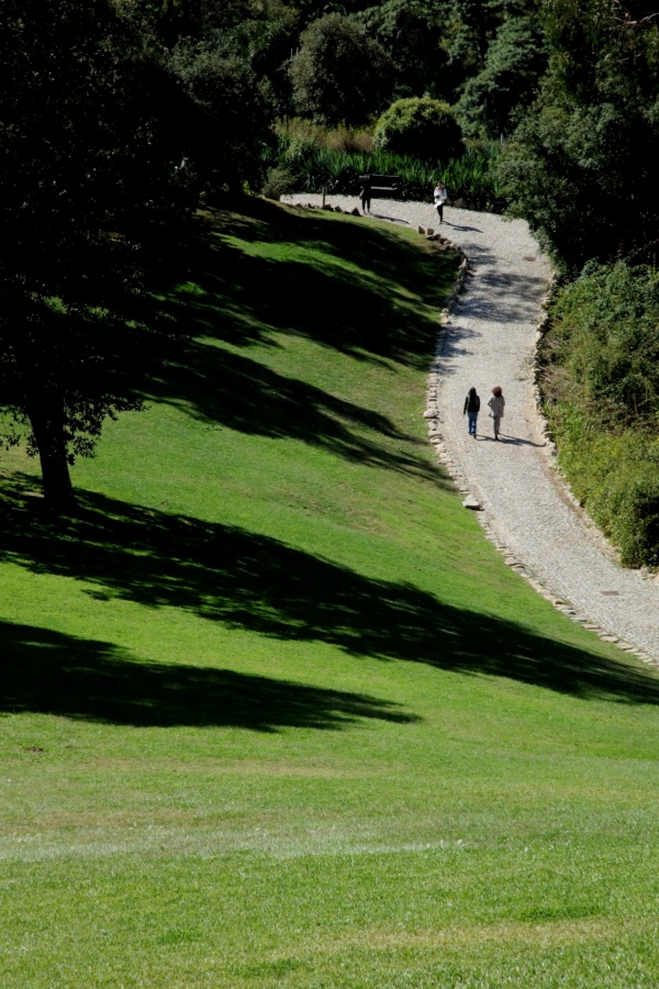 "Sendero" de Francisco Luis Azpiroz Costa