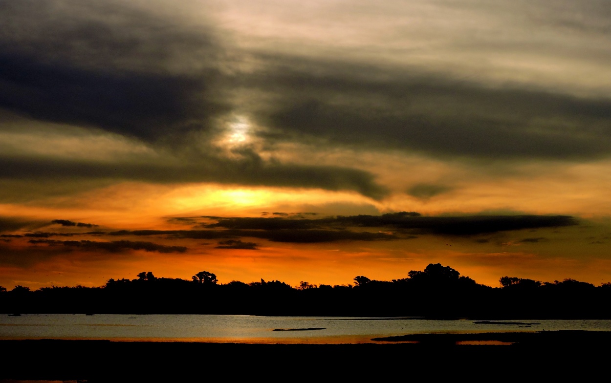 "Atardecer en la laguna" de Silvia Olliari