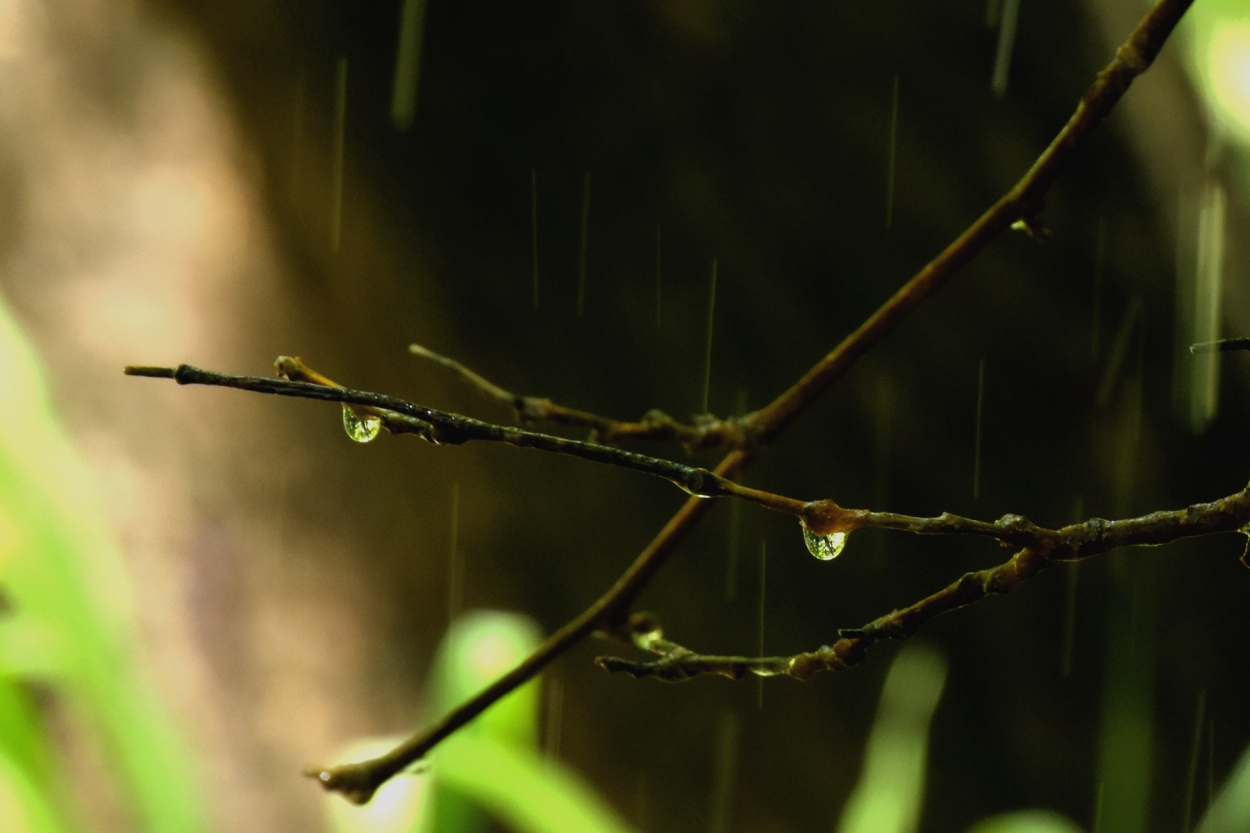 "El reflejo en las gotas" de Osiris Mart