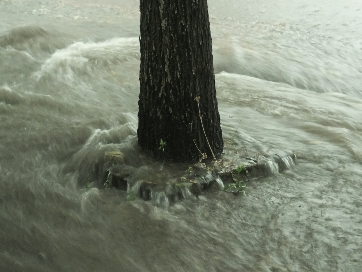 "Cuestiones del cambio climtico (III)" de Juan Fco. Fernndez