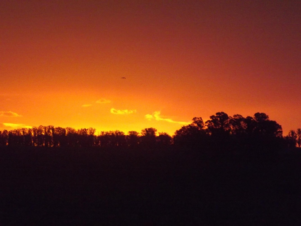 "Atardecer en el campo" de Oscar Robatto Rodriguez