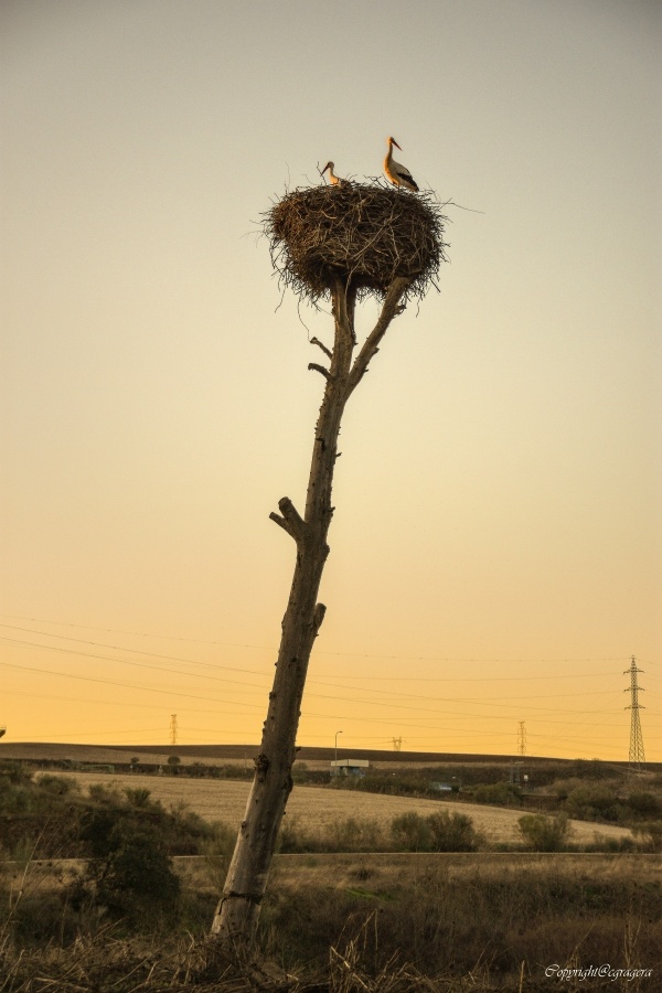 "en equilibrio" de Carlos Gustavo Gragera Garriga