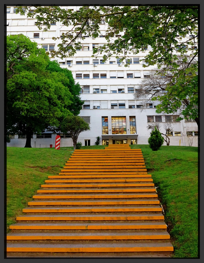 "Yellow staircase" de Jorge Vicente Molinari