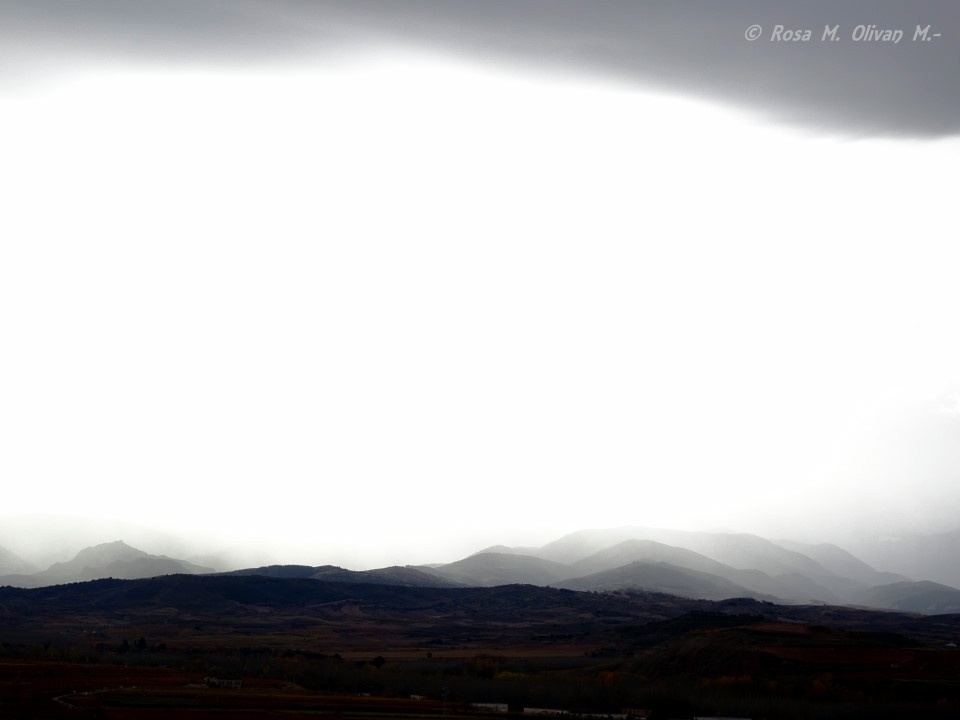 "niebla" de Rosa Mara Olivn