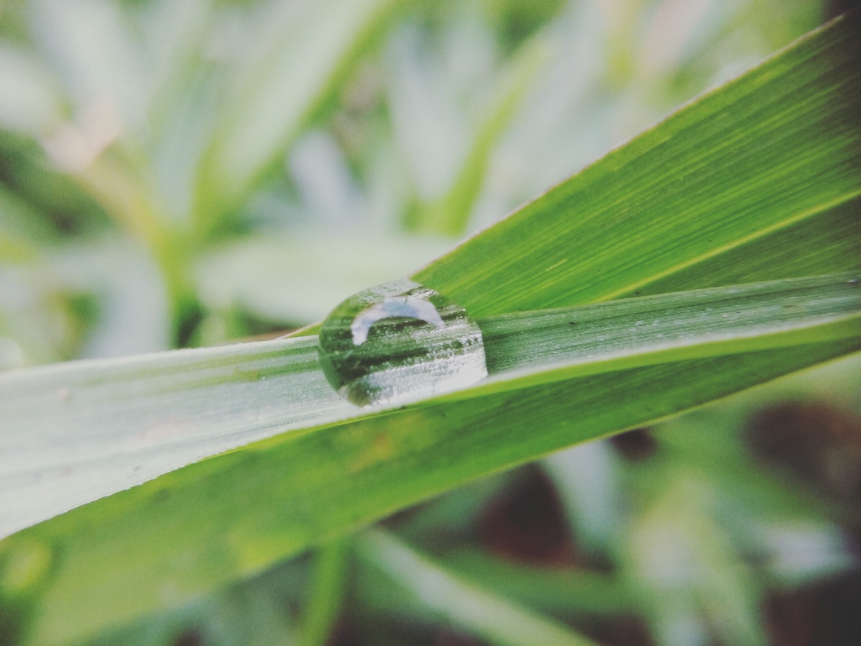 "Detalles de la Naturaleza" de Antonela Gauna