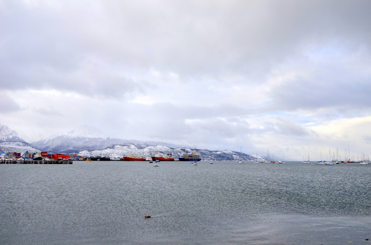 "Puerto Ushuaia" de Jose Torino