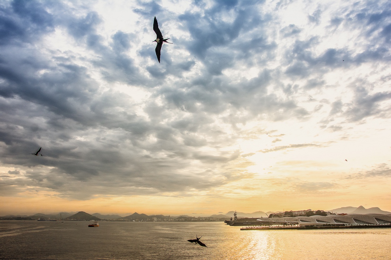 "vuelo" de Jose Luis Anania