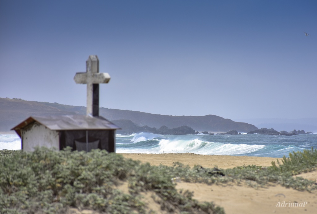 "El hombre y el mar" de Adriana Pellegrinelli