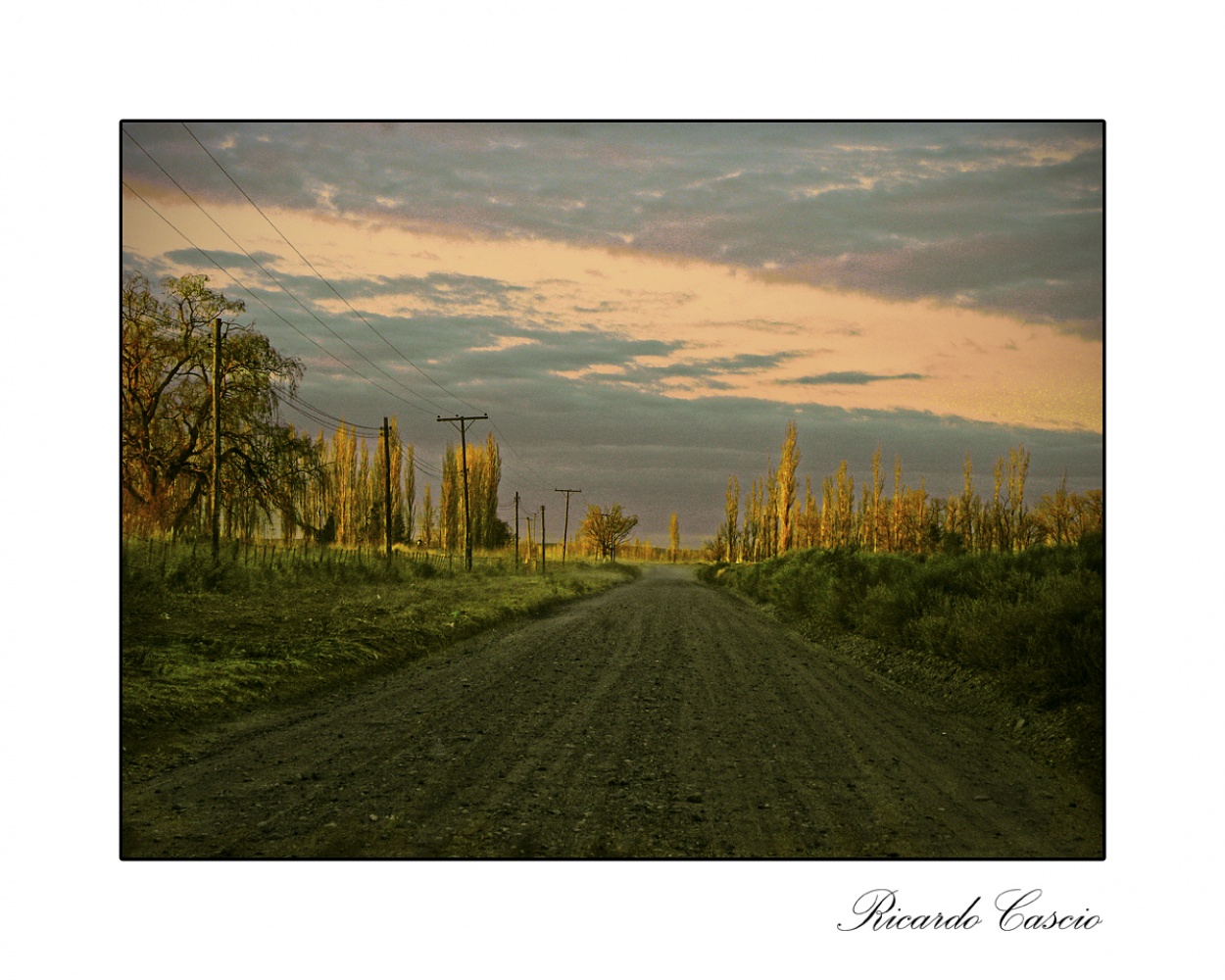 "Ultimas luces de la tarde" de Ricardo Cascio