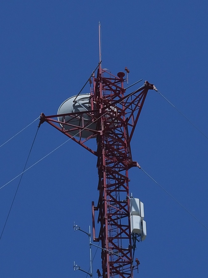 "Hierros y antenas" de Juan Fco. Fernndez