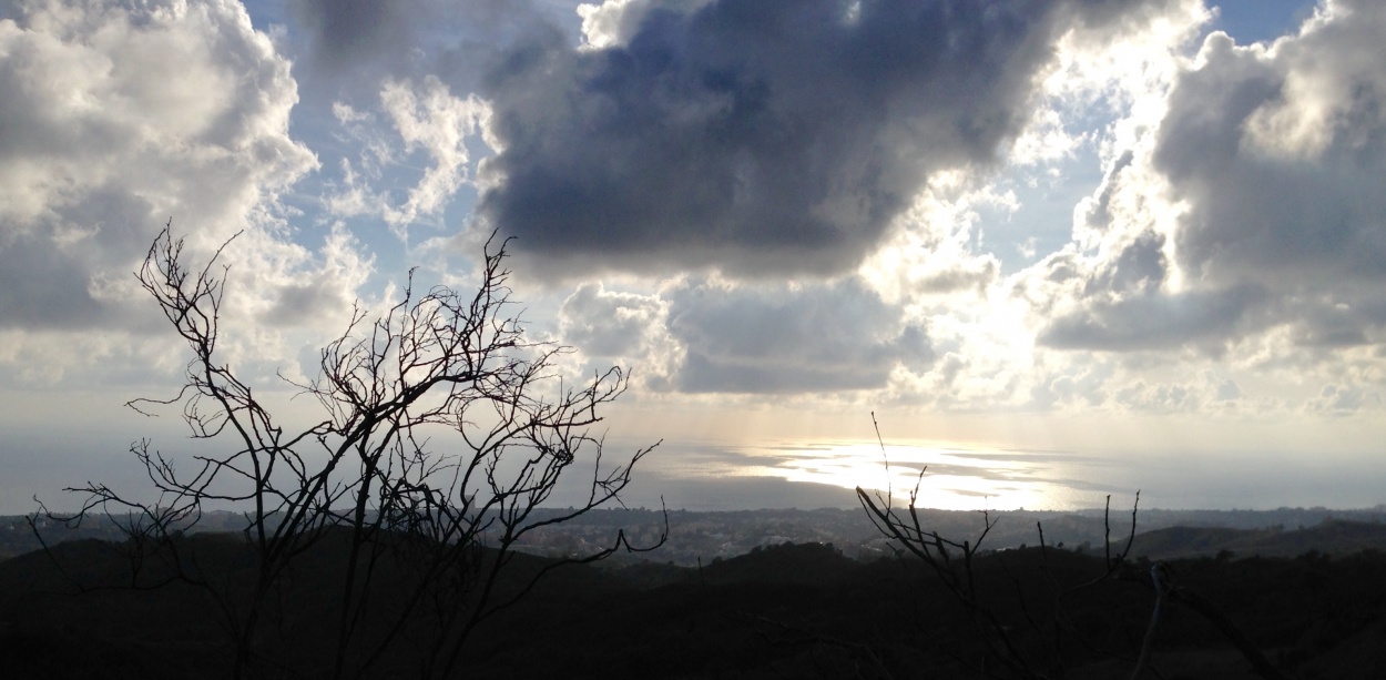 "Atardecer decinvierno" de Carmen Estevez