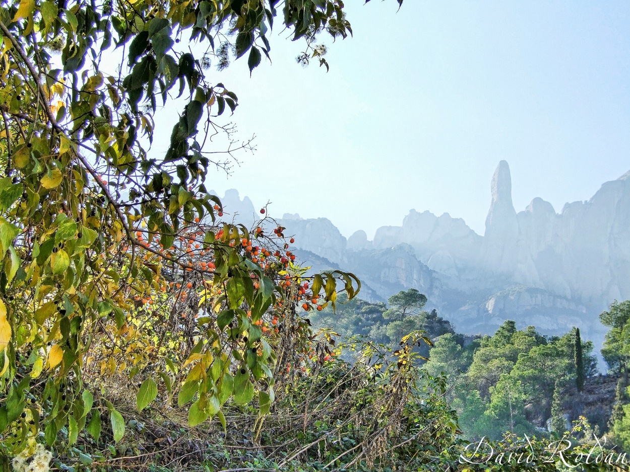 "Racons de Catalunya 3121 Monistrol de Montserrat" de David Roldn