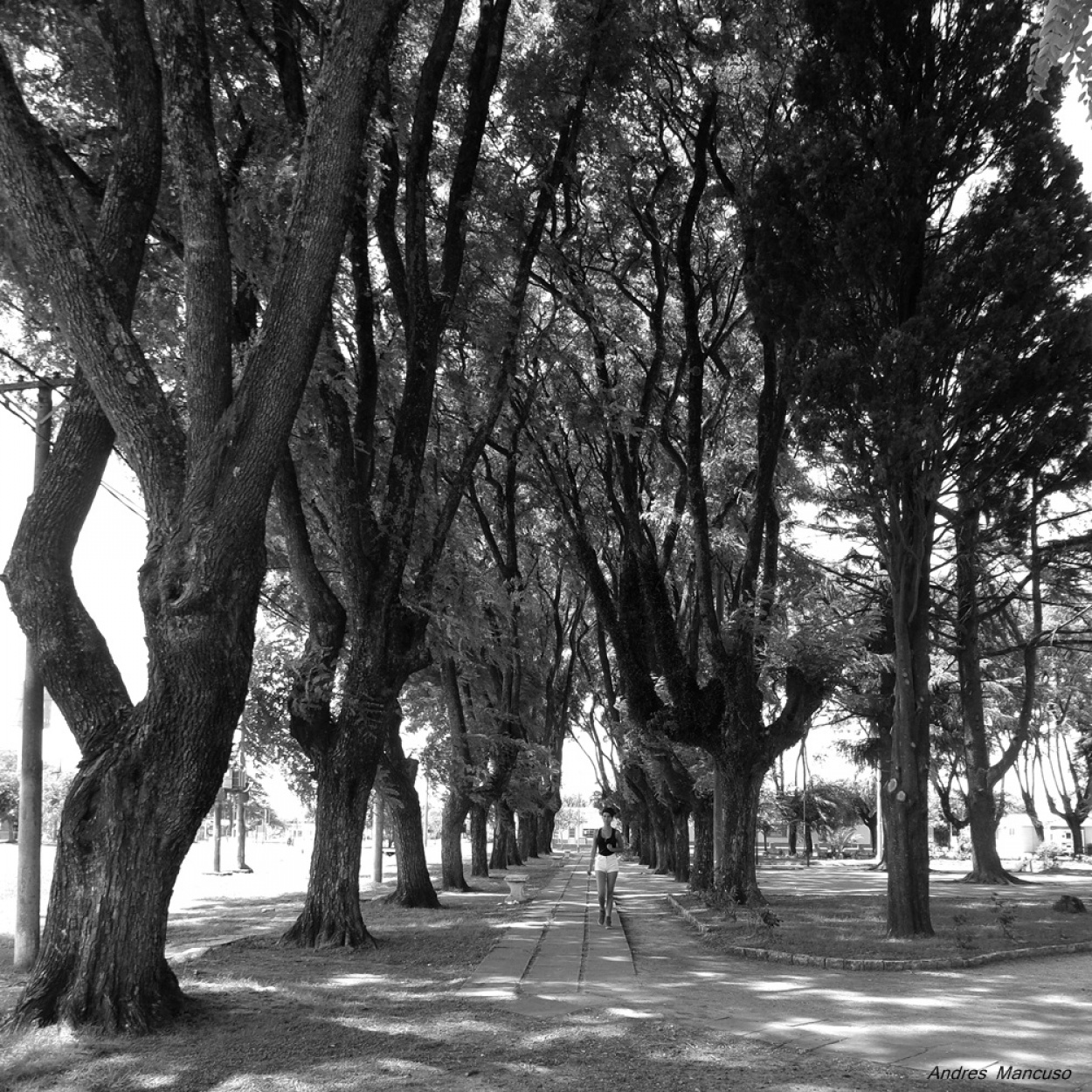 "Plaza de Pueblo" de Andres Mancuso