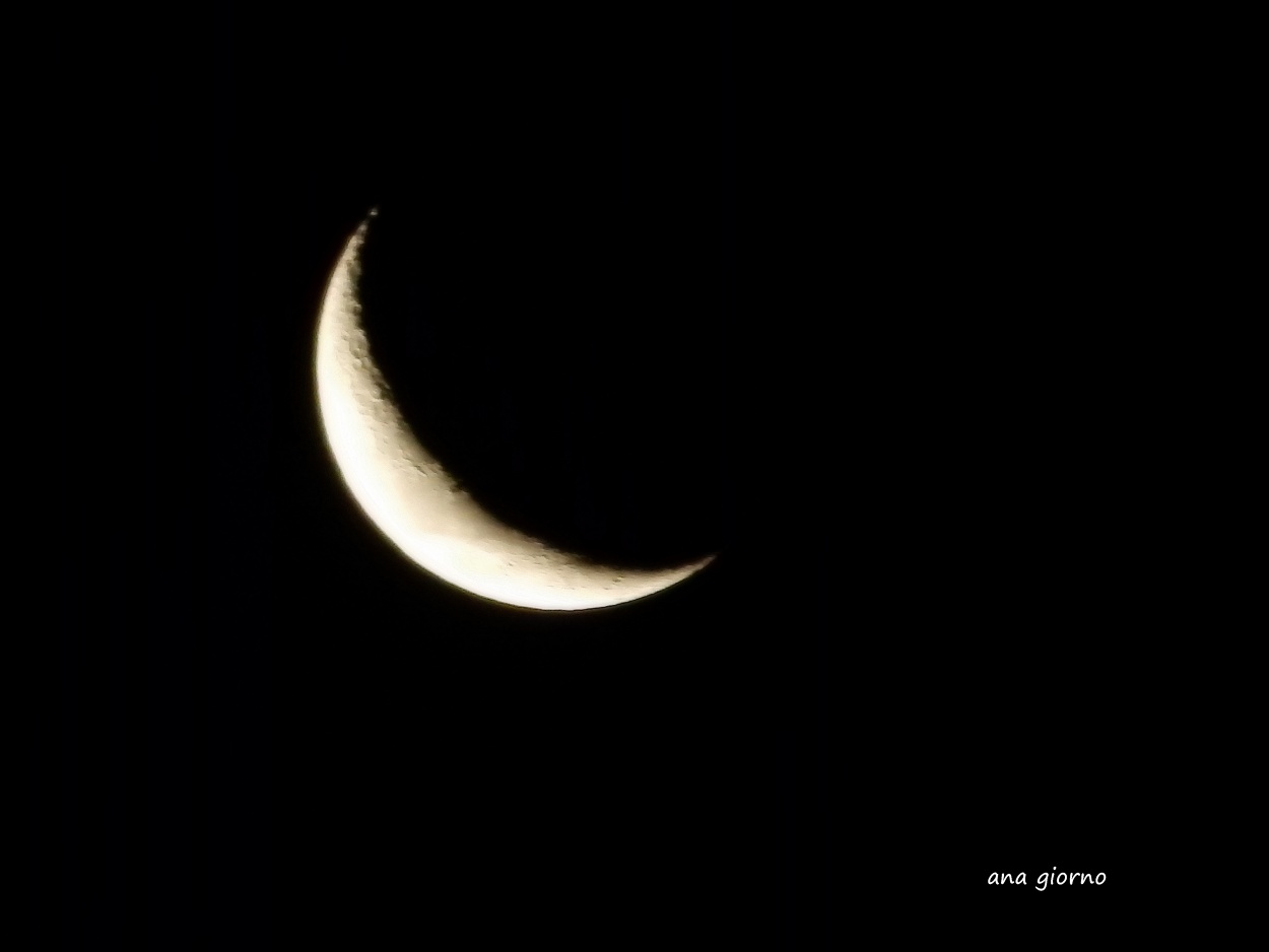 "mi primera media luna" de Ana Giorno