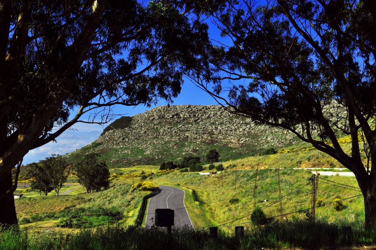 "Paisaje Balcarceo..." de Silvia Emilia Guerra