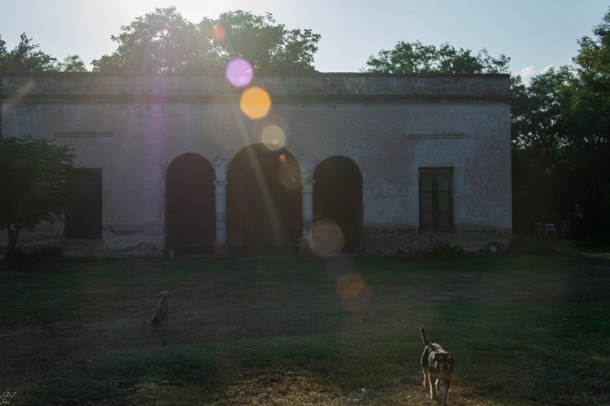 "Viejo casco de estancia" de Juan Felippa