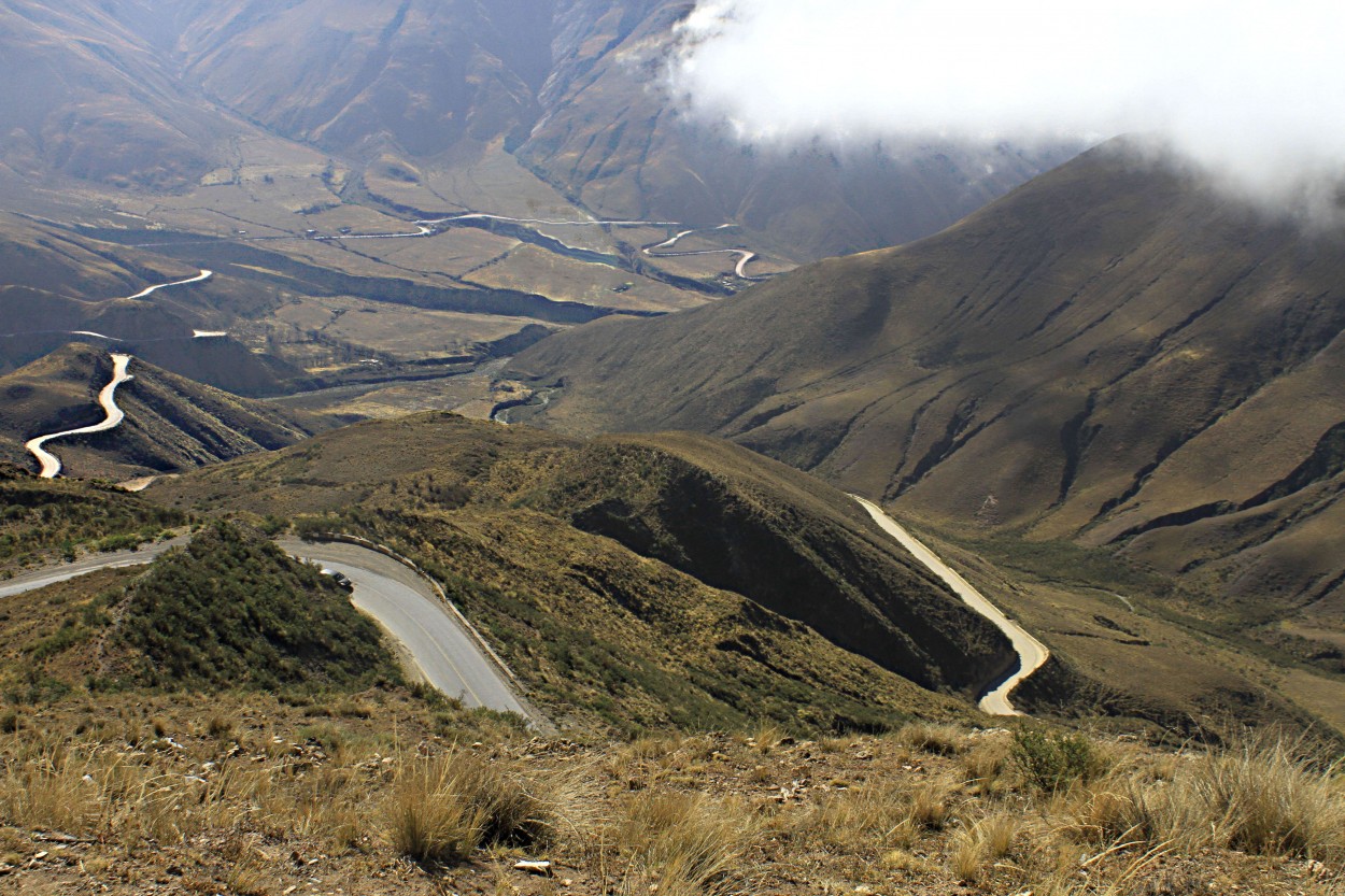 "caminos y caminitos" de Guillermo Covelli