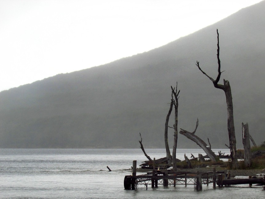"Lago Escondido - T. del Fuego - I" de Jorge Mariscotti (piti)