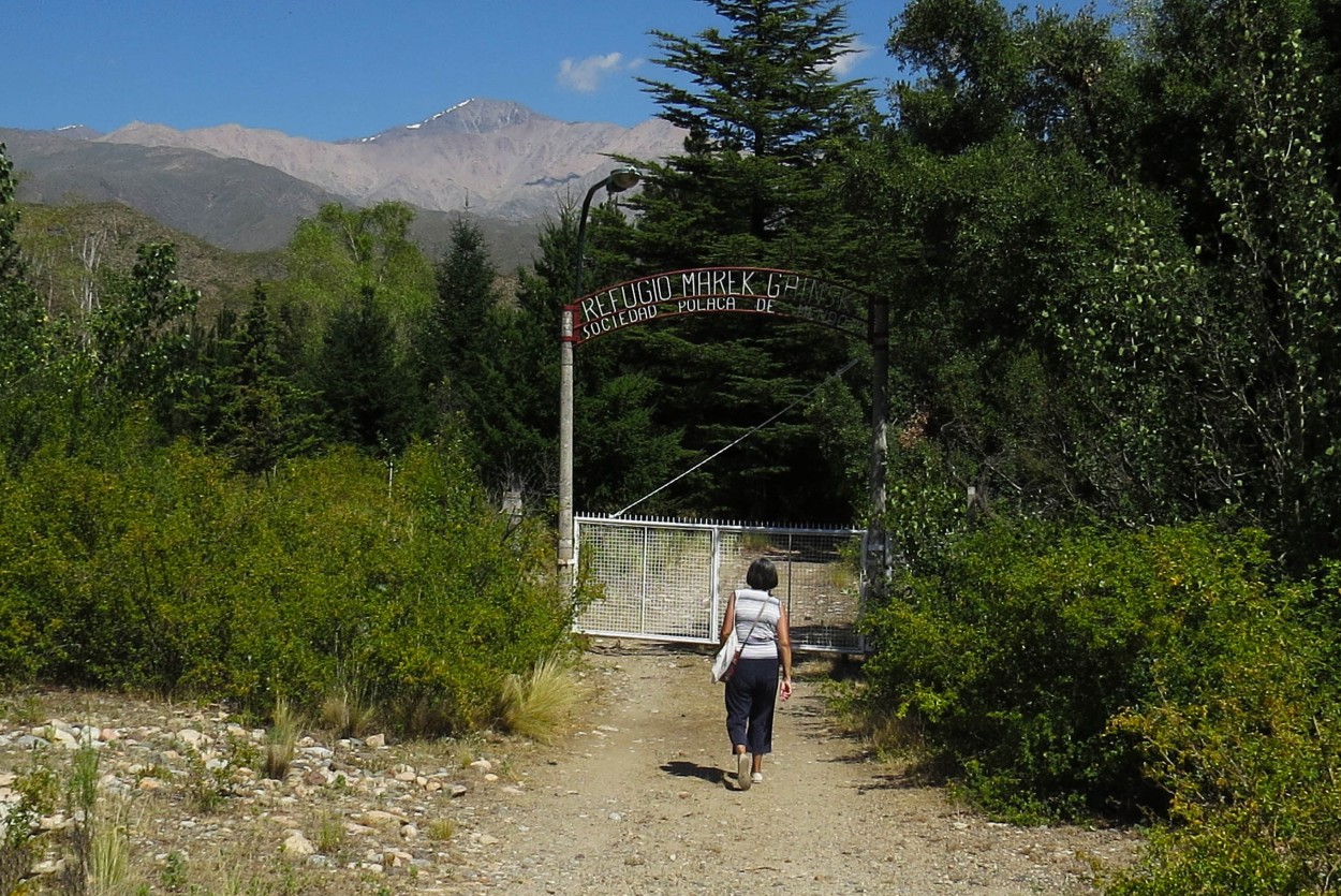 "`Camino al Refugio`" de Iris Elizabeth Scotto