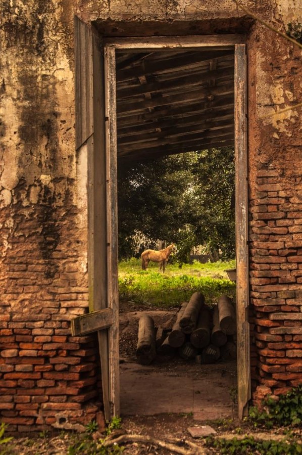 "Antigua puerta" de Gabriela Garcia Lanza