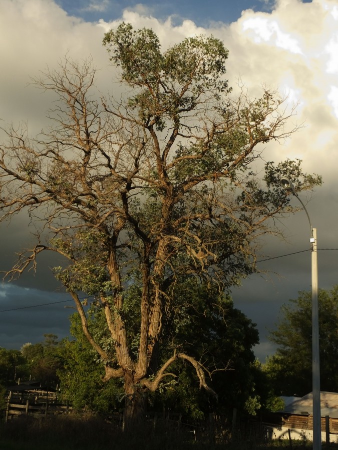 "Atardecer cambiante" de Juan Fco. Fernndez