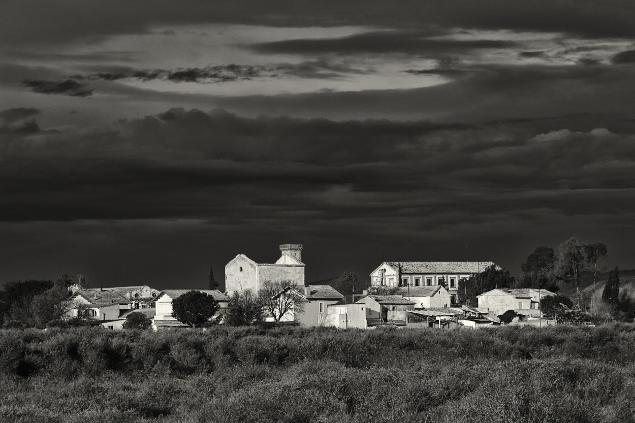 "Colonia" de Francisco Jos Cerd Ortiz