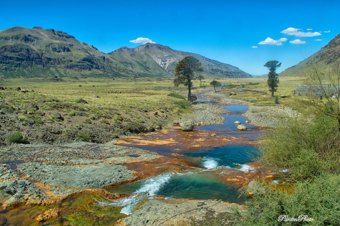 "Ro Agrio (Neuquen)" de Daniel Pantin