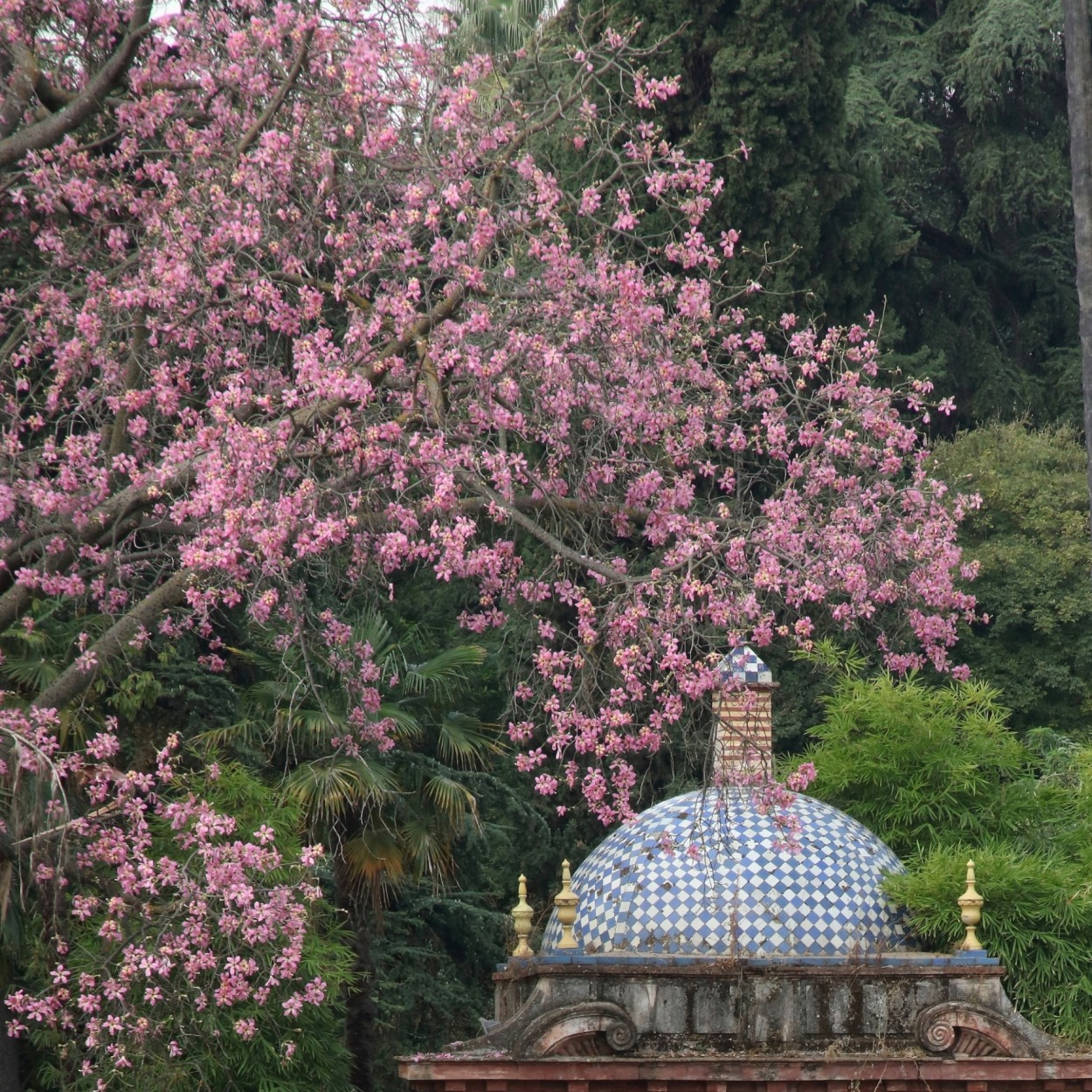 "Jardines del Alczar" de Francisco Luis Azpiroz Costa