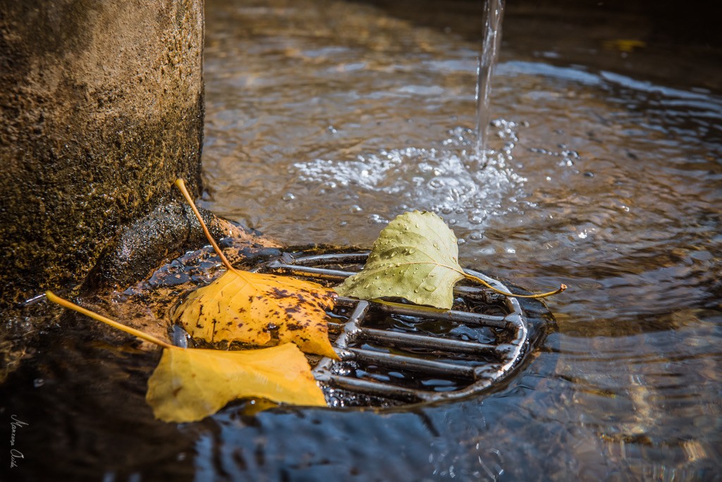 "Mi Agua Bruja..." de Carmen Esteban