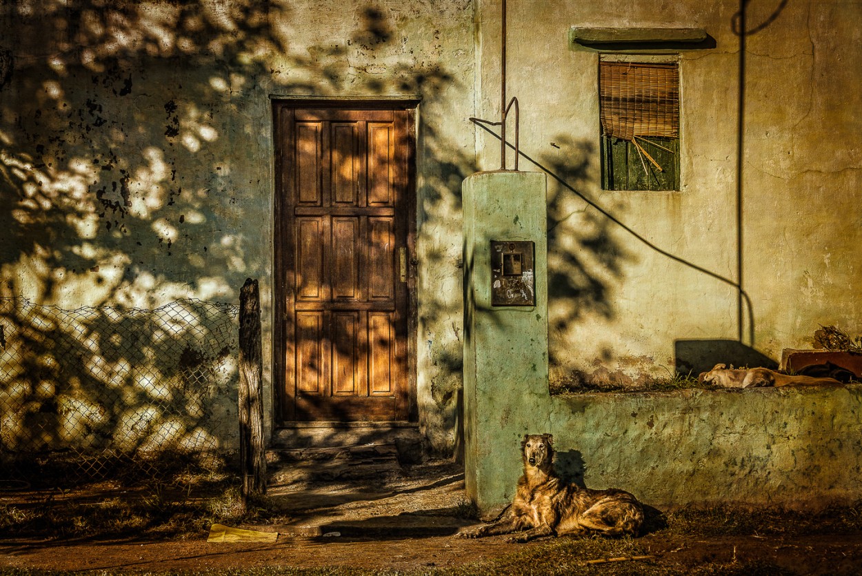 "Atento a los curiosos" de Fernando Valdez Vazquez