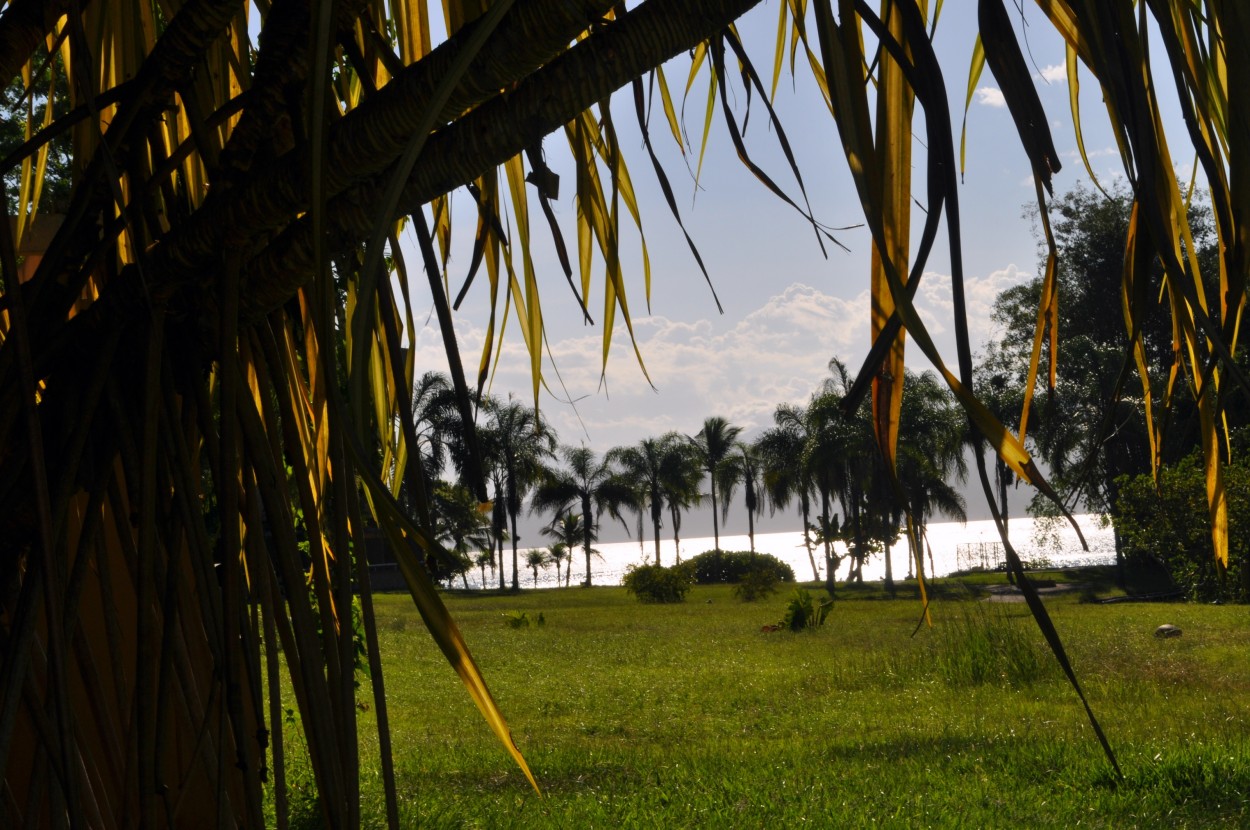 "Paisaje Tropical..." de Silvia Emilia Guerra