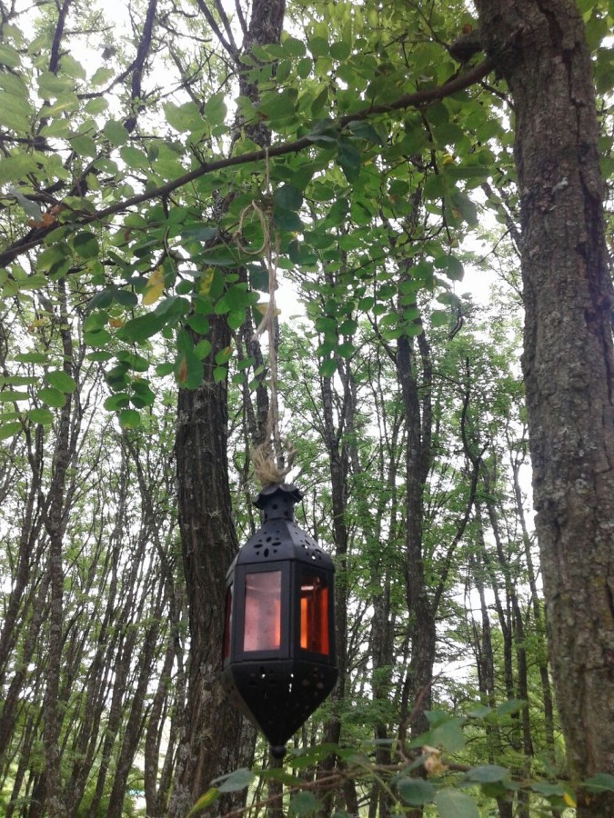 "FAROL ILUMINANDO EL BOSQUE" de Gloria Ester Sonderegger