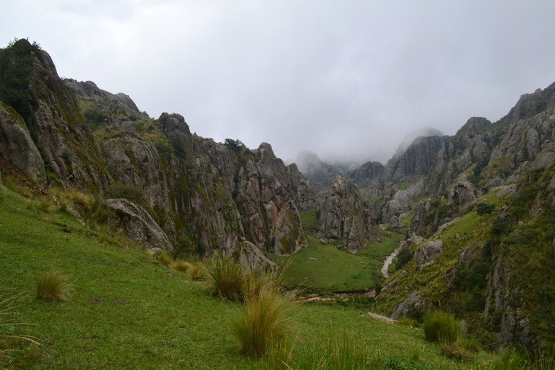 "Valle de los Lisos" de Daniela Giaroli