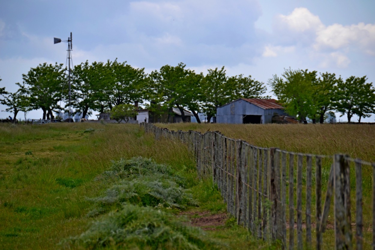 "Un da en el campo" de Carlos D. Cristina Miguel