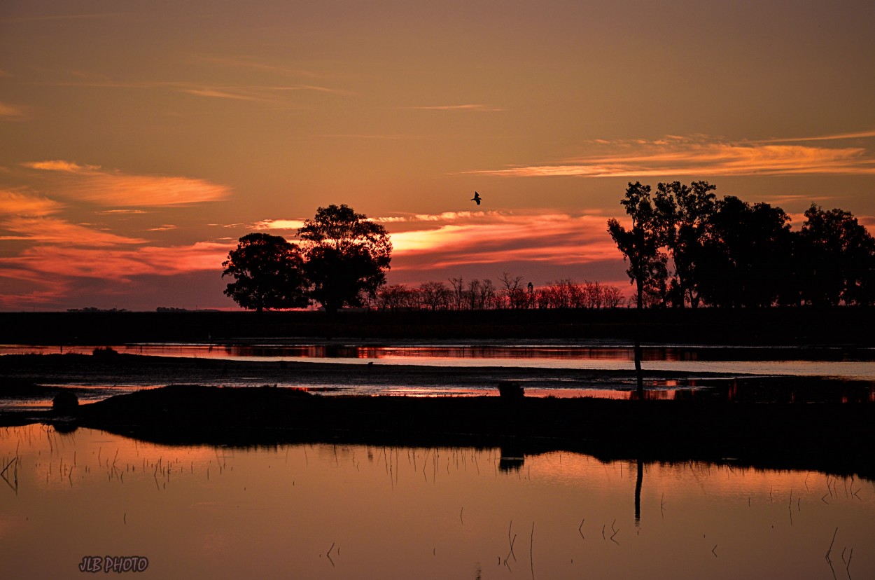 "Ocaso" de Jose Luis Blanco