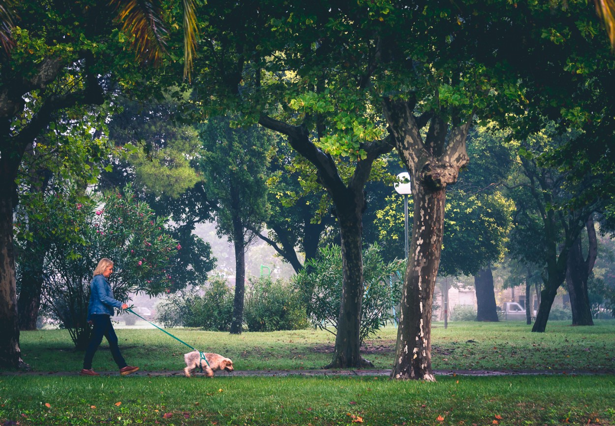 "El paseo" de Fernando Valdez Vazquez