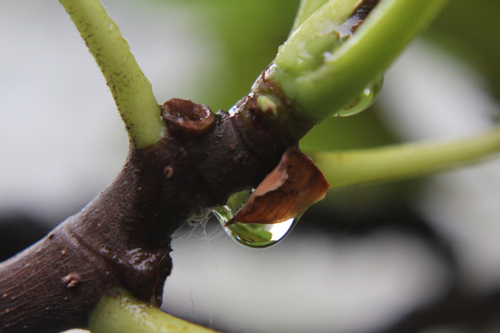 "Gotas de lluvia sobre m" de Roberto Retta