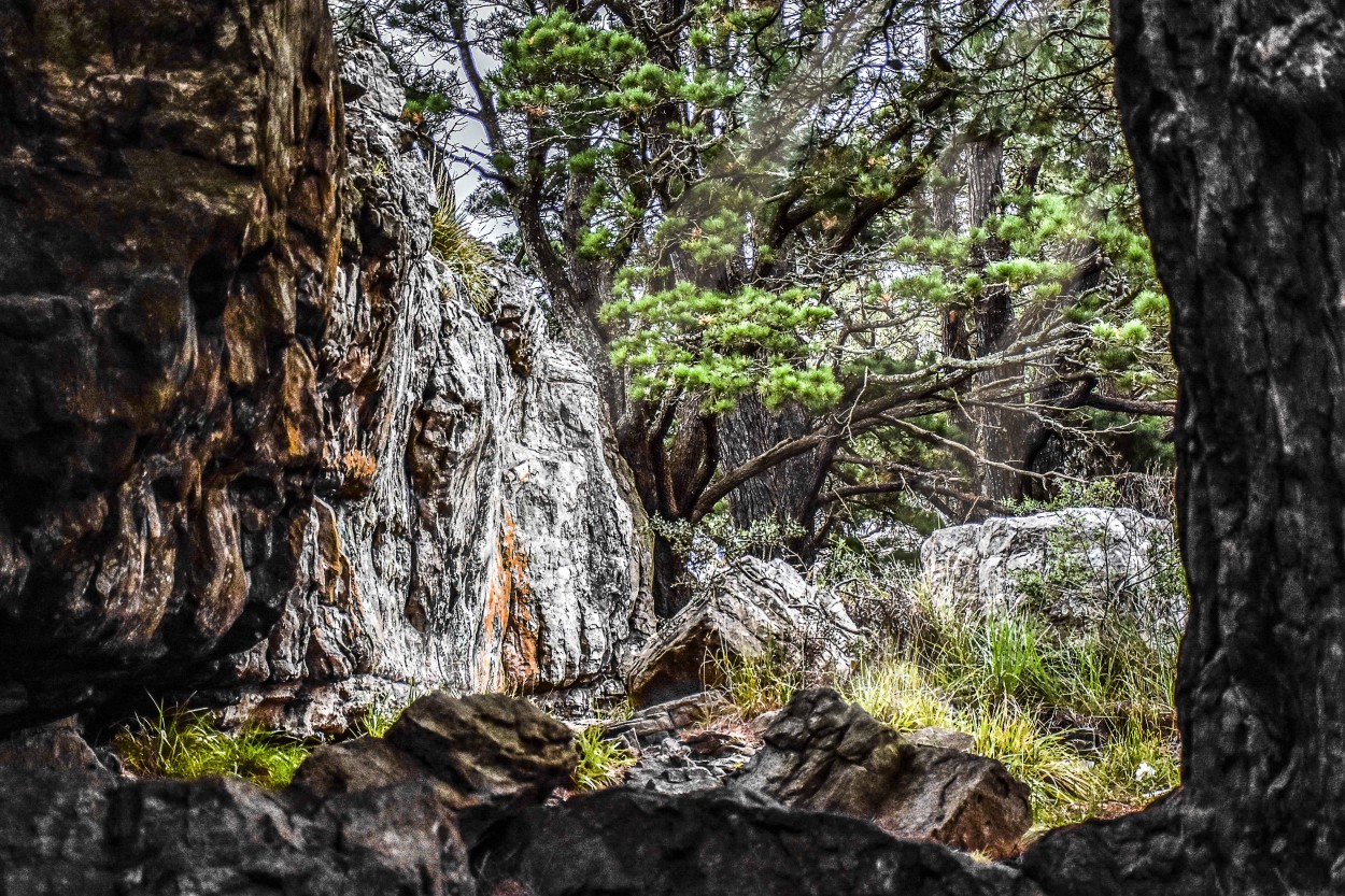 "Entre rocas" de Adriana Claudia Gallardo