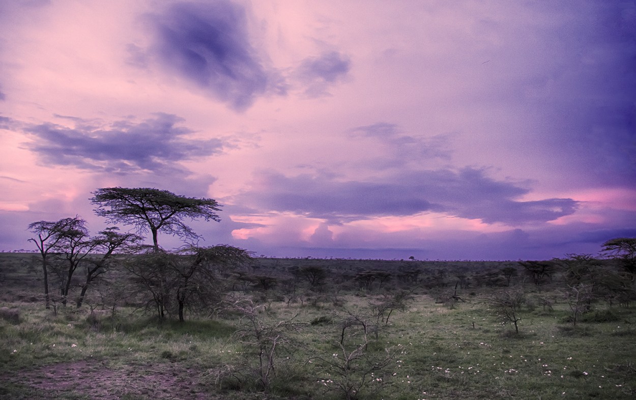 "Masai Mar" de Edith Polverini