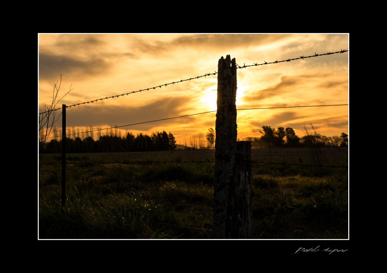 "Sol de Villa Ruiz" de Pablo Aspee